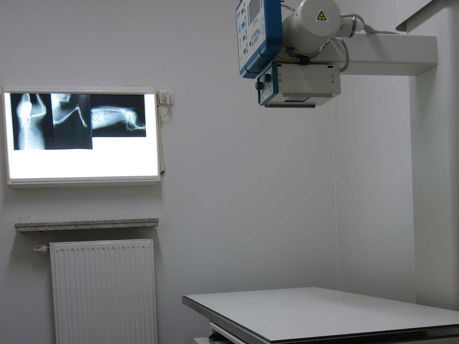 Radiologie dierenarts