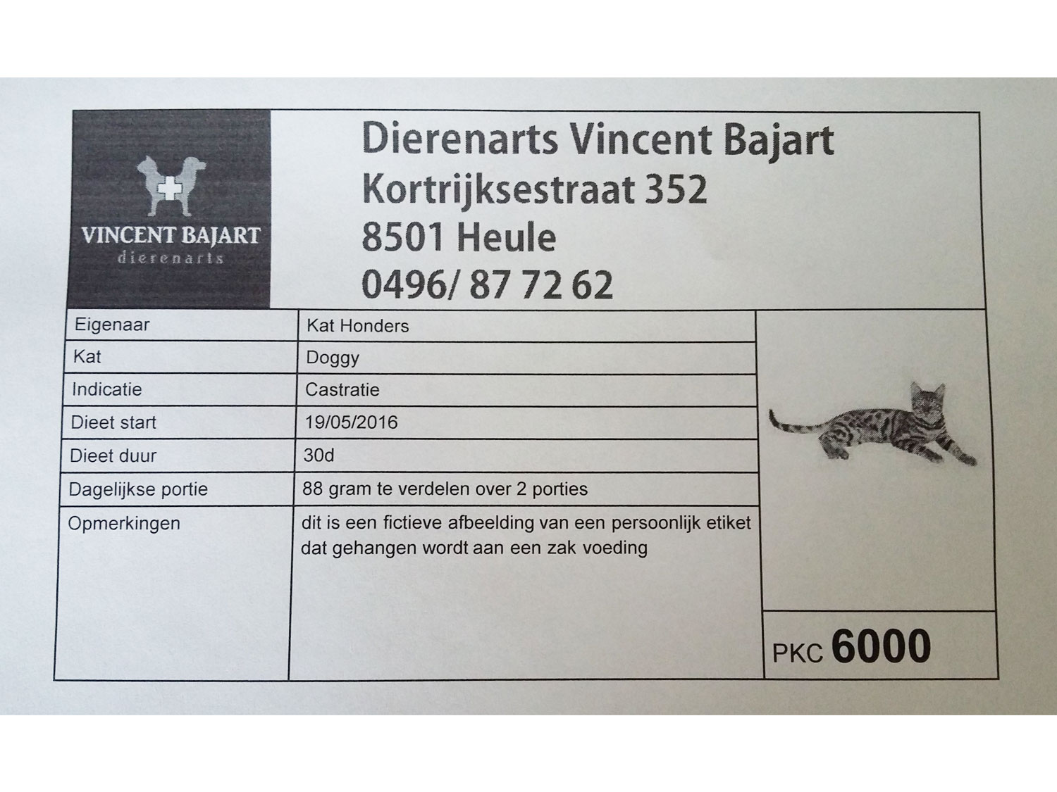 Radiologie dierenarts Voedingsadvies dierenarts
